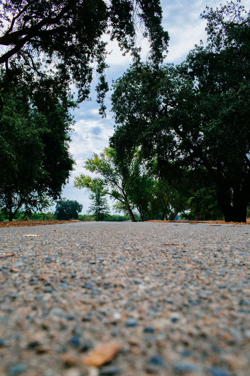 4CreeksCreative's tweet photo. Photo by Ryan Krauter https://t.co/Ef5tHHpvfc