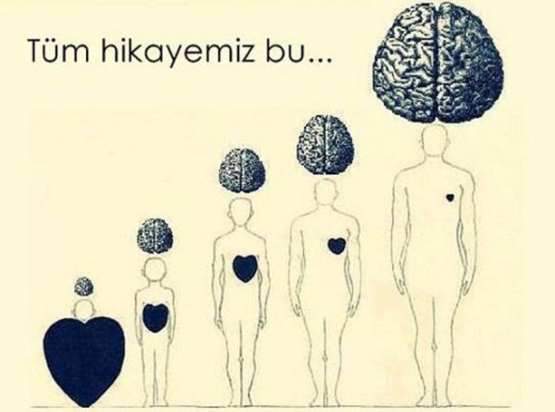 Akıllı ve zeki olmaya çalışırken,
Kalpsiz ve duygusuz kalmak:
Işte bütün hikayemiz bu...