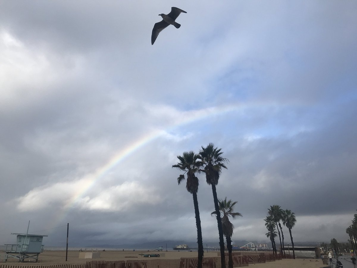 Seize_Todey's tweet image. Morning walk... 🐾