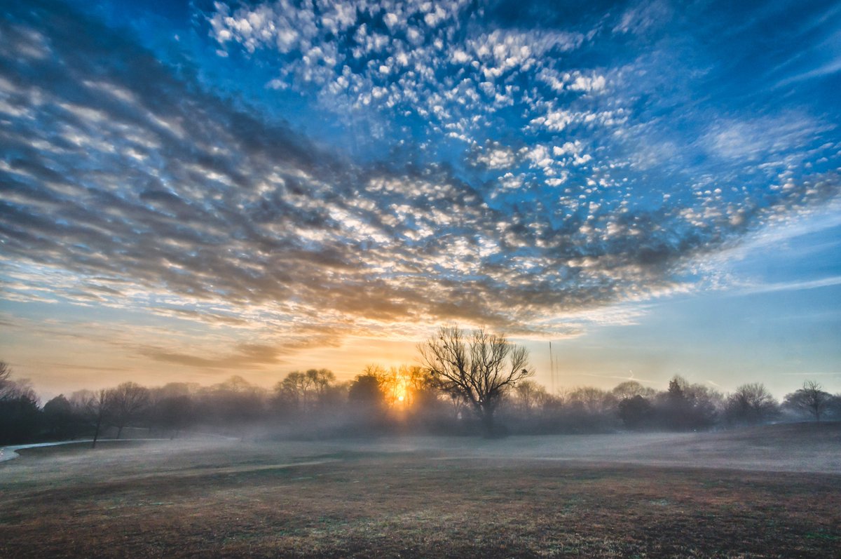 Foggy Opener
Freedom Park, Atlanta
#sunrise #stormhour #binded #ThePhotoHour