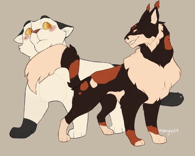 OpawesomeSauce's tweet photo. Idk what to do on twitter so have some gay cats I guess https://t.co/bILnSnXwtt
