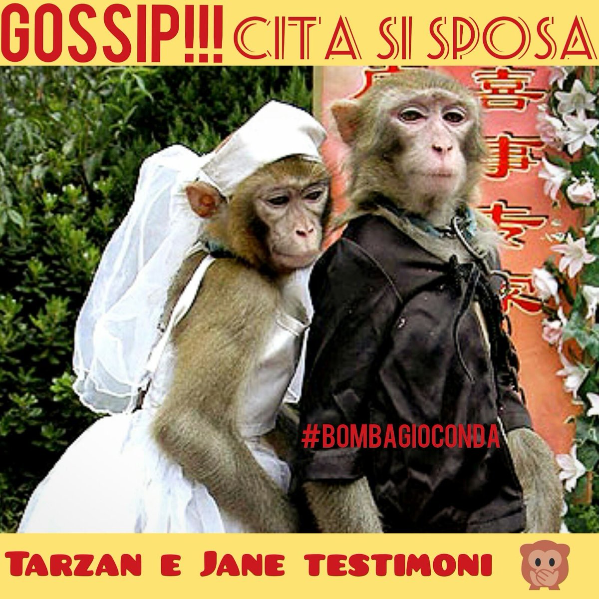 Pacioff's tweet photo. Qualcuno è stato invitato alla cerimonia di nozze?! #bombagioconda #fakenews #GoldenGlobes #news #Italia https://t.co/o9vjjpHT8r