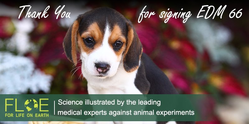 Thank you @ChrisEvansMP for signing #EDM66 today, calling for current #science to judge &amp; end #animal experiments.

147 MPs have now signed EDMs for this medical hearing! Please visit this link to ask your MP to join them: edm66.forlifeonearth.org <a href="/PeterEgan6/">Peter Egan</a> 

#Stop #OneMedicine