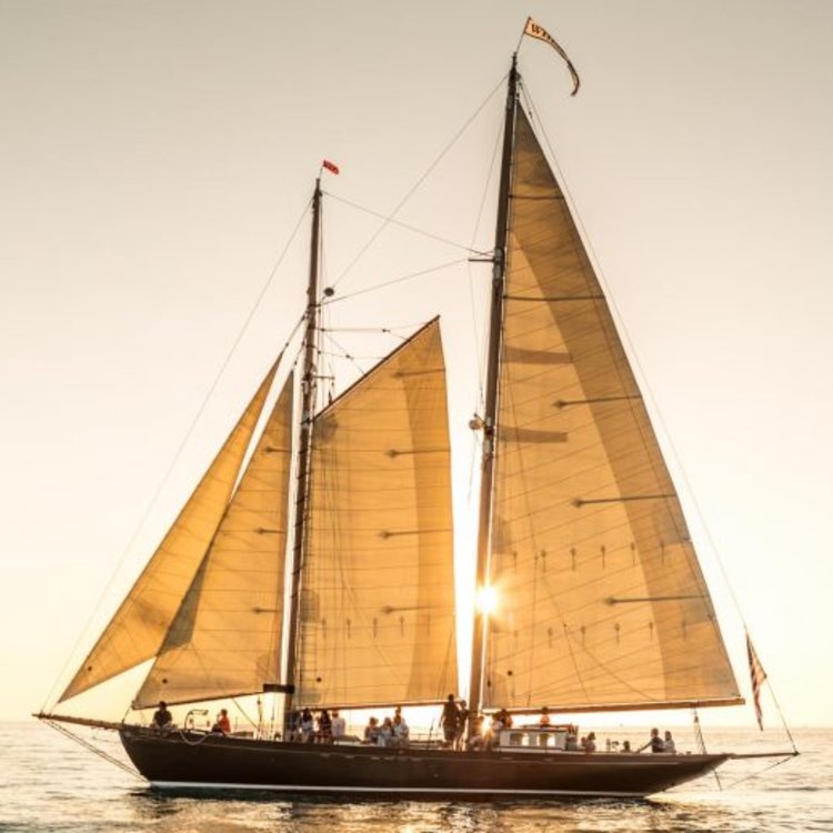 New year. Same amazing adventures.