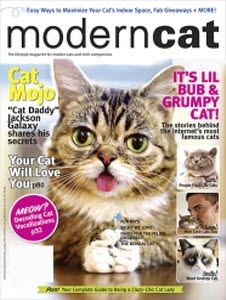 yellow car punch tweet media