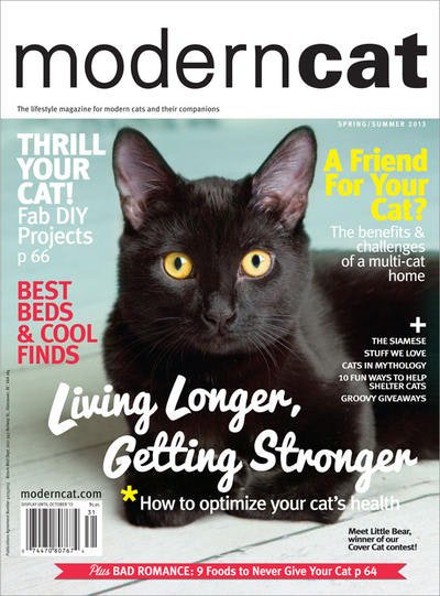 yellow car punch tweet media