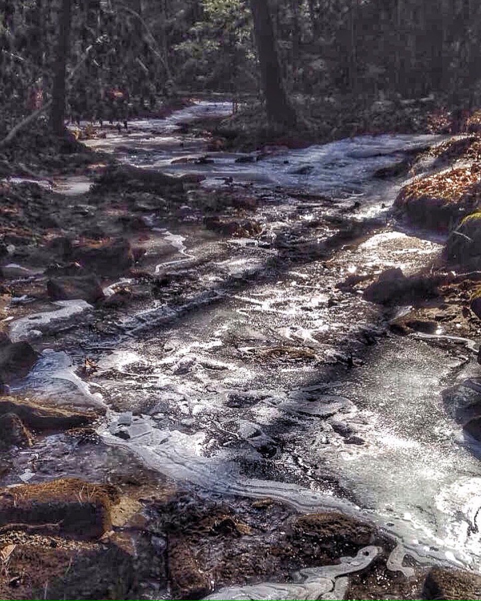 squicklesaintly's tweet photo. Getting in some chilly miles w/ friends preparing for the War Hammer 100miler in June by @nextoppevents !  #chasingcutoffs #trailrunning @SaltyRunning @AUBURNLABS https://t.co/3uLP8mqApz