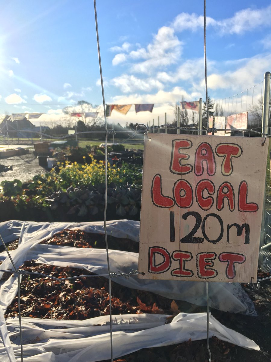 KimZumach's tweet photo. I ❤️our school garden. So much good is growing here! (Even in January!) @ColquitzCougars @ColquitzScene @CMSgoesgreen #sd61 https://t.co/hshqpix299