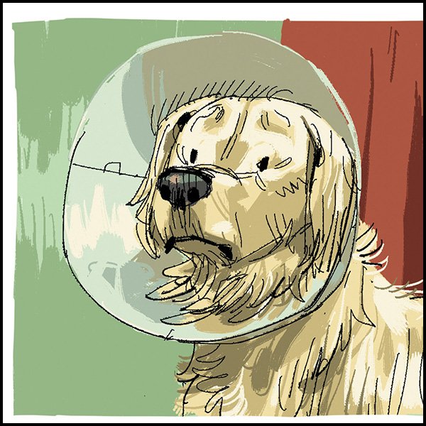 MagneticPress's tweet photo. #TheDailyPanel - "Fashionable Lassie" from #POS by #PierrePaquet & #JesusAlonso https://t.co/4qbQ7rRCtm https://t.co/lrwFB0S72h