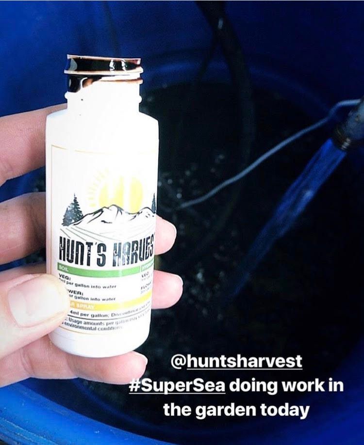 HuntsHarvest303's tweet photo. orders@huntsharvestnutes.com for product &amp; pricing info!! https://t.co/j9rVV3yqJ1