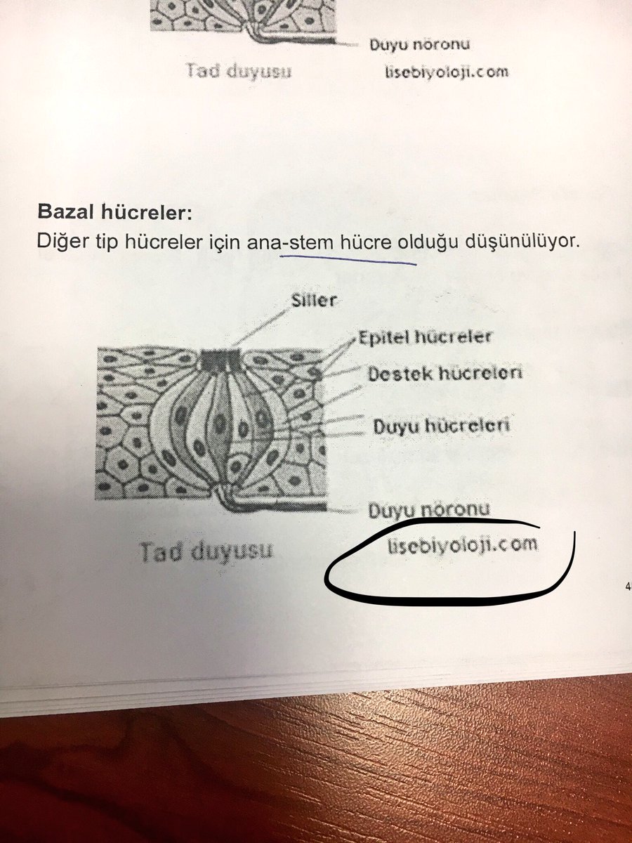 -İnternetteki bilgilerden şüphe edeceksiniz arkadaşlar,konuyu textbooklardan araştırın!
+Siz hangi kaynakları kullanıyorsunuz hocam?
-Beni karıştırma şimdi sen dediğimi yap..