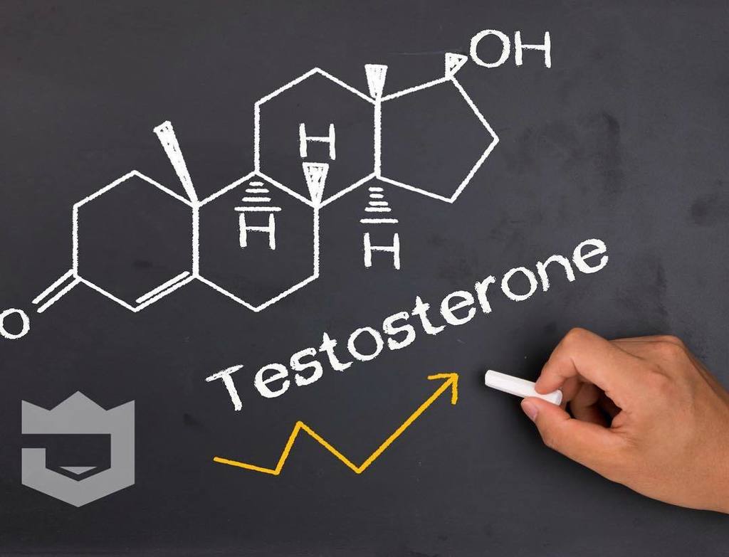 sharpjock's tweet image. Make sure the products you use BOOST your test not rob you of it. #testosterone #jacked #performance ift.tt/2mkIWqx