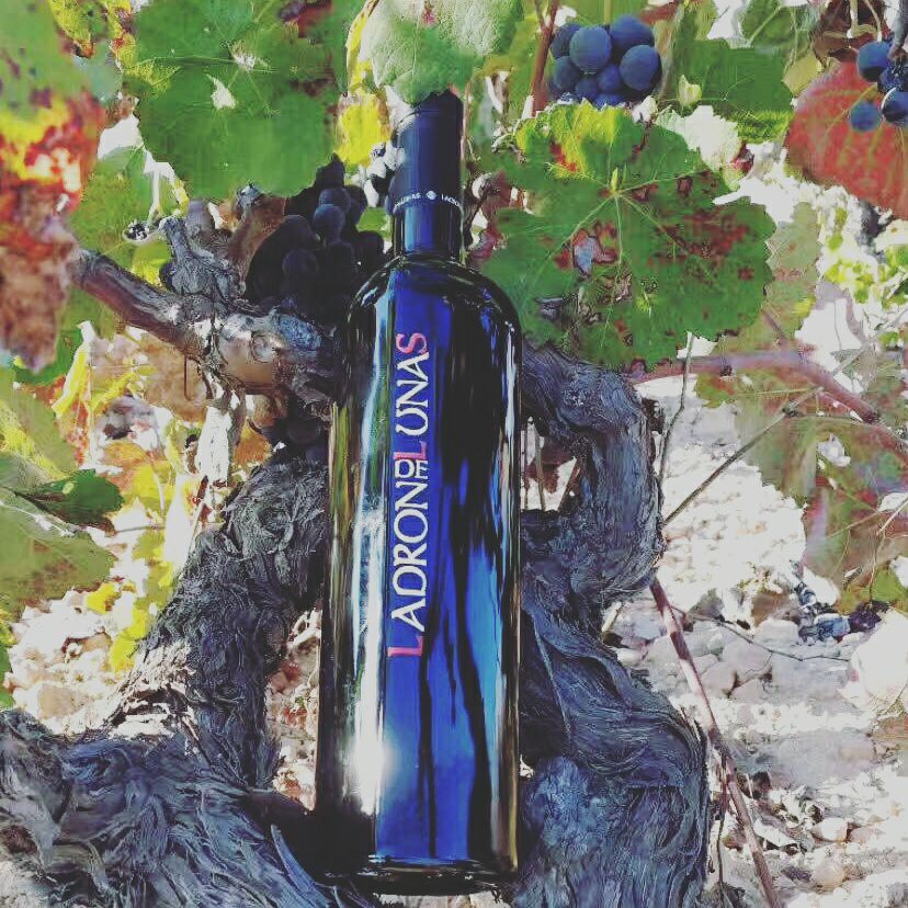 Fernandoenologo's tweet photo. LA EDAD ES UN NÚMERO COMPLETAMENTE IRRELEVANTE SALVO QUE SEAS UNA BOTELLA DE VINO. @VinoTuit @VinosDOValencia @vinosdebobal @SaberdeVino https://t.co/JOoh2toR0D