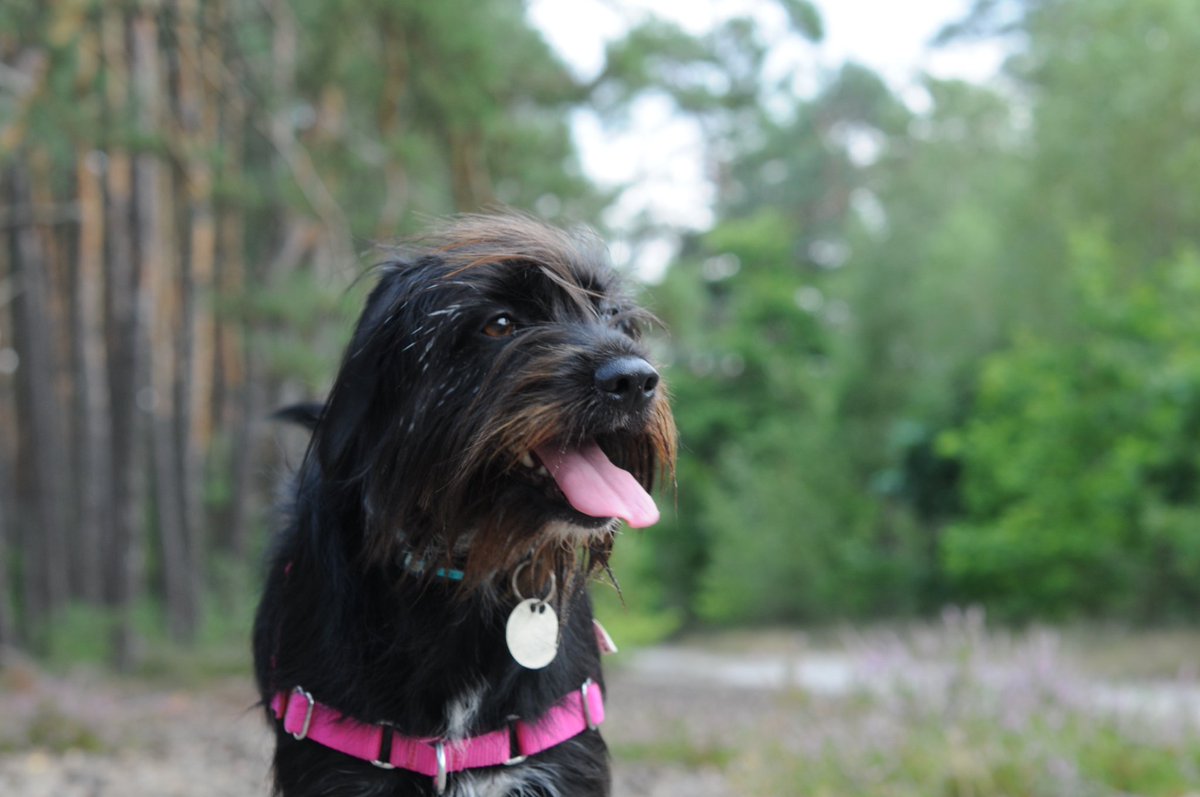 Paweł Wnuk tweet media