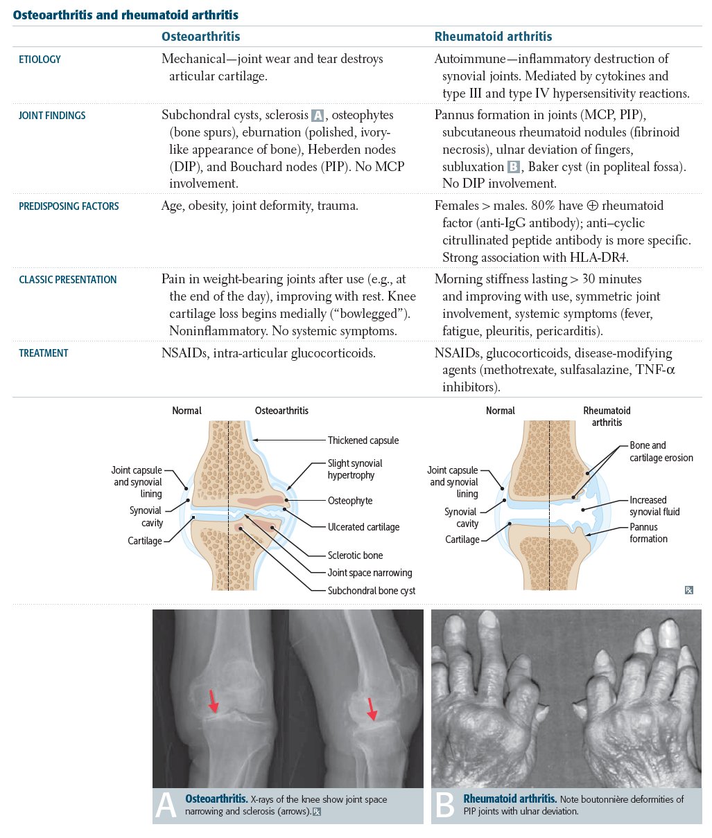 korai stádiumú rheumatoid arthritis térd fájdalom ülve