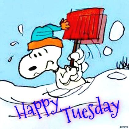 berryonline's tweet photo. Happy Tuesday, @CityKitchener! @RegionWaterloo #CommitteeDay, office catch-up, @RootsCanada pick-up, opening of Michael Brown exhibit at @KitchLibrary & more! https://t.co/6kFfyzrB4Q