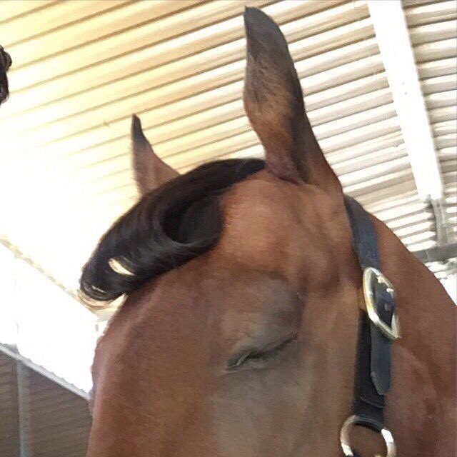 Steph_I_Will's tweet photo. Momma: *removes roller from my bang* Don’t worry, it will loosen up before we get to church. 

7 hrs later still at church, the bang: https://t.co/u8VjYxXiK4
