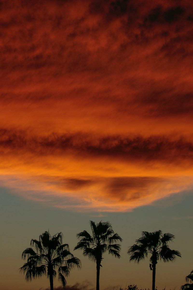 joejrpix's tweet photo. #threepalms #sunset #sky #verobeach #afterthestorm https://t.co/rvhSWaXsJp