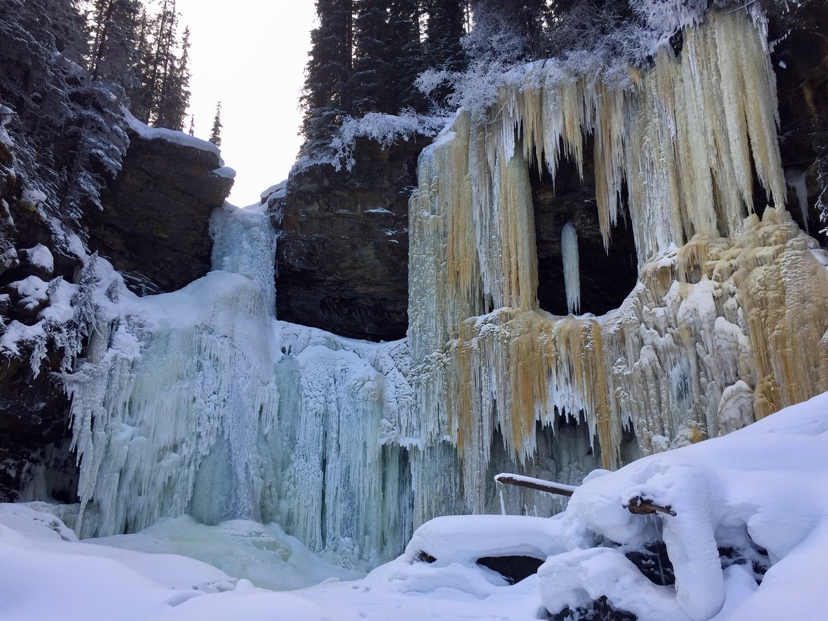ChinChew11's tweet photo. Perry Falls is a beautiful ice climbing area northwest of Tumbler Ridge. #PerryFalls #IceClimbing #TRGeo #TravelNorthernBC #ExploreBC #CanadianRockies https://t.co/pJqatlBU7j