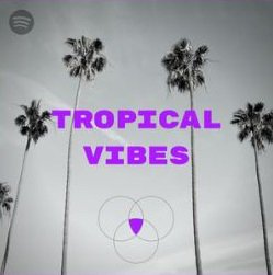___odc's tweet photo. Check out SUNDAZE on Tropical Vibes by: lukheyluk - a tasteful curation w tracks by EDX, Dillon Francis, Kygo, Sam Feldt, W&amp;W, Jonas Blue, Nora En Pure, 

https://t.co/5ZzlRtoces

#odc #sundaze #newmusic #deephouse #futurehouse #housemusic #dancemusic #techno #edm #glennmorrison https://t.co/gSJPwhjdH7
