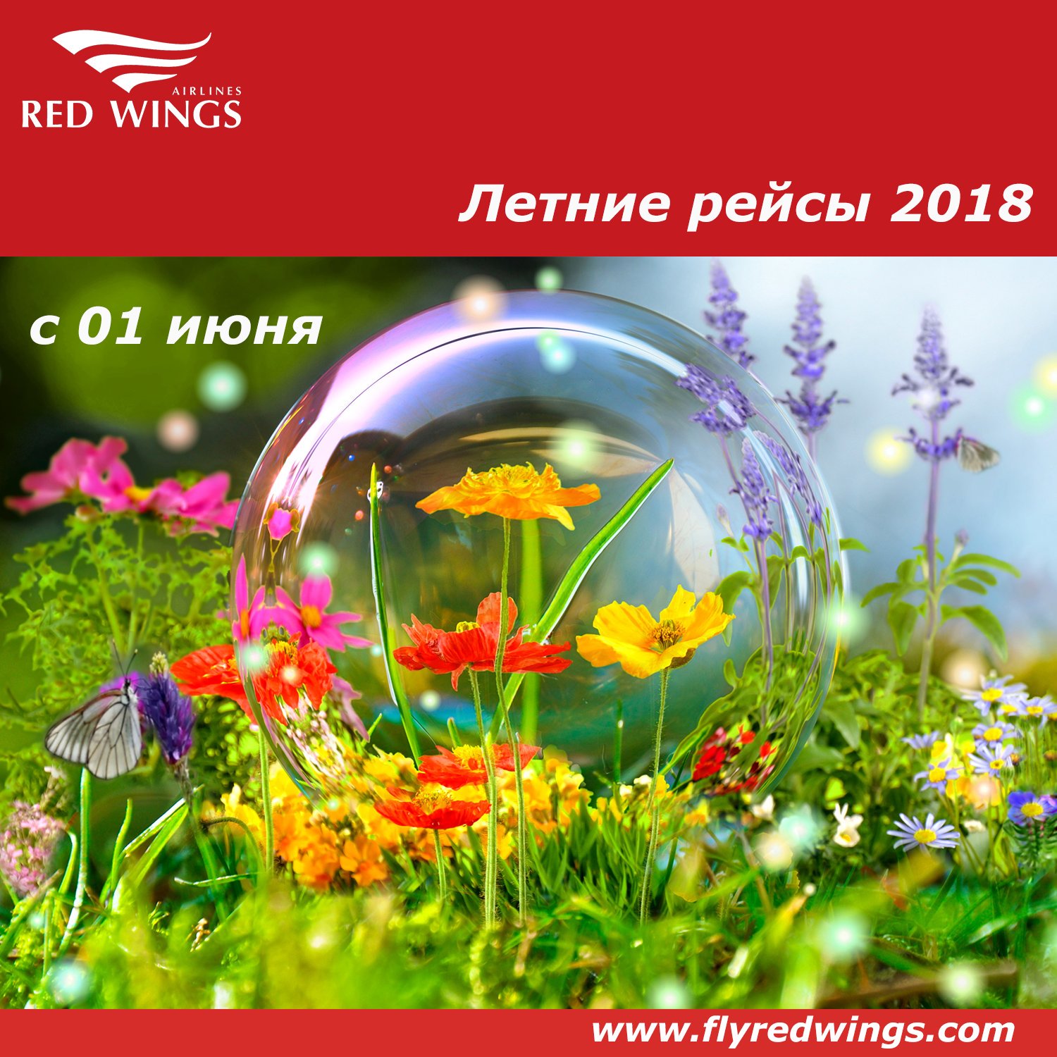 Доброе утро воскресенье картинки красивые с надписью лето