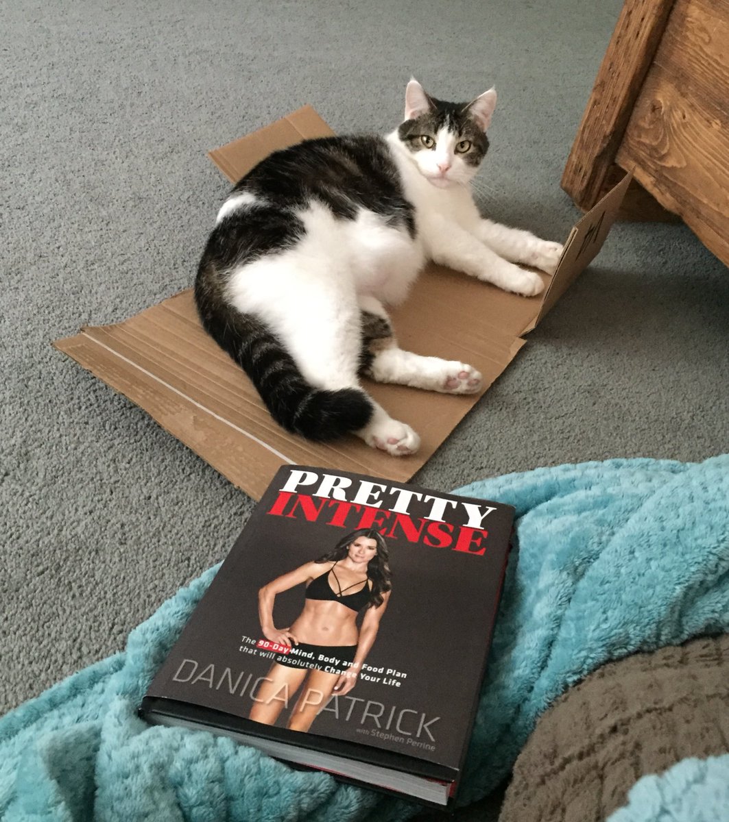 KittyLarson42's tweet photo. Looks like things are going to get @PrettyIntense! 🙀😹 https://t.co/rcyFkmKhu8