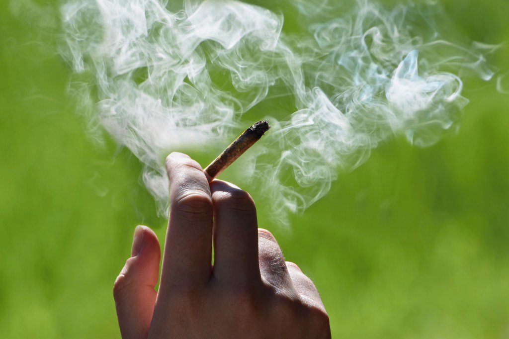 iamlbt's tweet photo. Why Some Cannabis Investors Welcome Trump Admin Threats, Uncertainty https://t.co/8Cl5oSluwo https://t.co/O04hrkf4T0