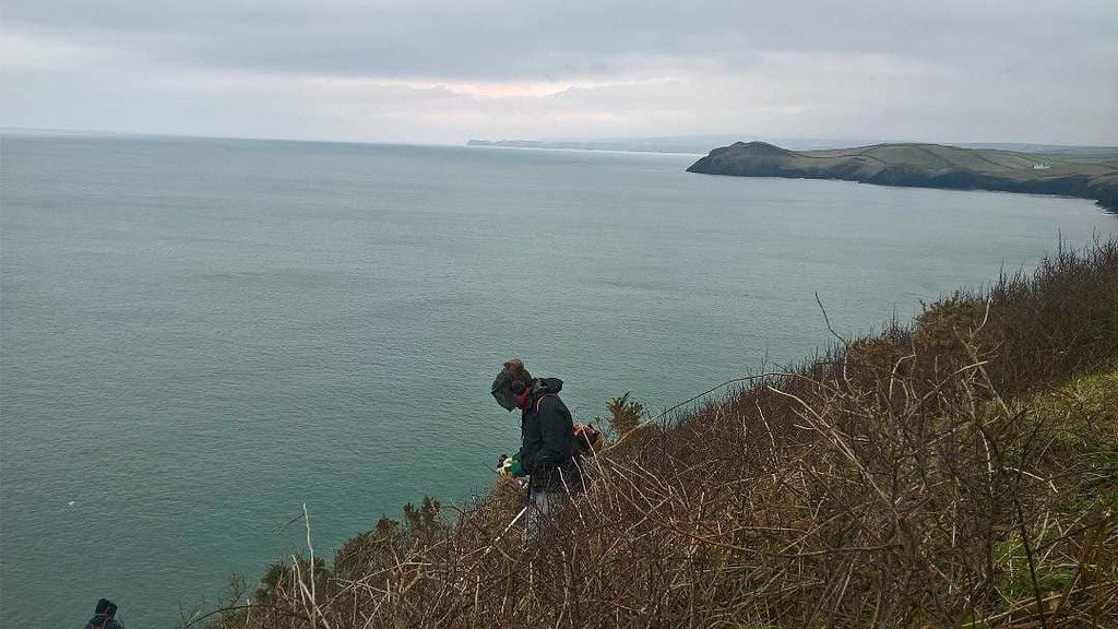 NorthCornwallNT's tweet photo. Not a bad view when out on the job. @northcornwallrangergareth even managed to see a seal too! #view #scenery #landscape #landscapephotography #onthejob #office #outdooroffice #brushcutter #scrubbashing #habitatmanagement #coast #sea #seawatch #seal #wil… https://t.co/lB2FtEVFOd https://t.co/hKvjO9iPTk