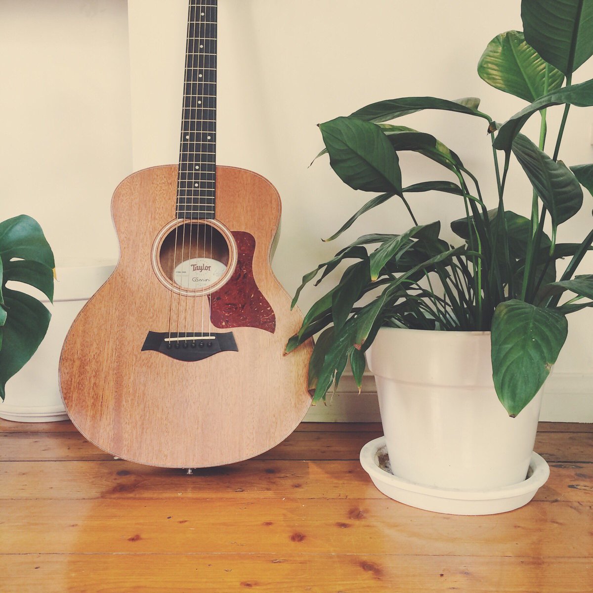 Asami_Matt_CMT's tweet photo. We love the concept of “communicative musicality”, that highlights how music is the way we first learn how to relate to one another and most importantly, learn how to trust one another... how beautiful is that? 💕#musictherapy #communicativemusicality #attachmenttheory https://t.co/y9F0fh7hzN