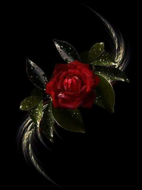 Happy birthday to Joan Baez. Rock on. 