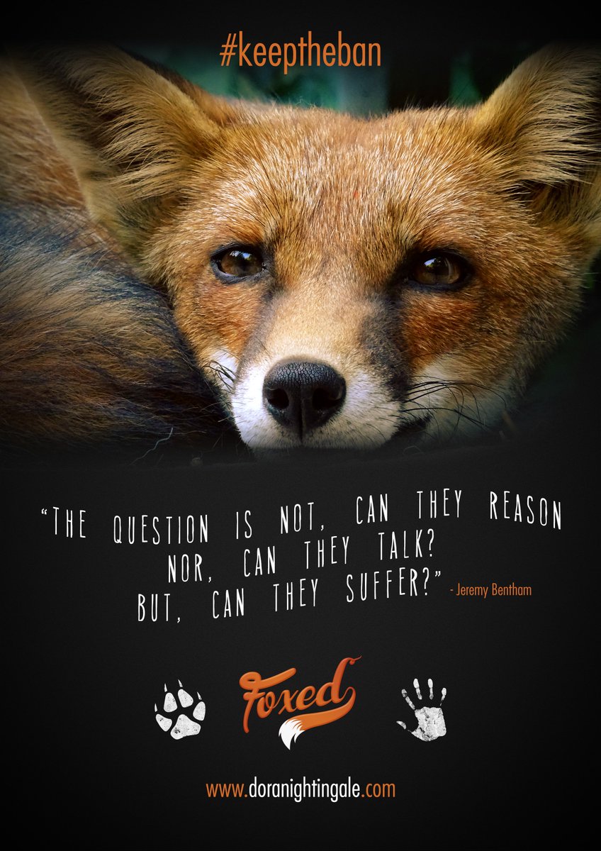 Dora_Dolittle's tweet photo. I am proud &amp; honored that "Foxed" will be shown at the @AnimalFilmFest. I wish I could be there for the screening at this amazing event. @CAPEanimals @ShelleyFrost40 #foxed #keeptheban #GoVegan https://t.co/WISeR96ndb