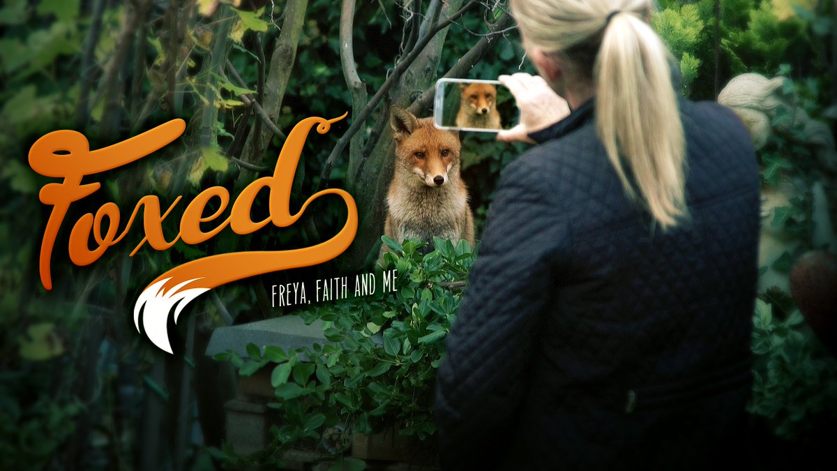 Dora_Dolittle's tweet photo. I am proud &amp; honored that "Foxed" will be shown at the @AnimalFilmFest. I wish I could be there for the screening at this amazing event. @CAPEanimals @ShelleyFrost40 #foxed #keeptheban #GoVegan https://t.co/WISeR96ndb