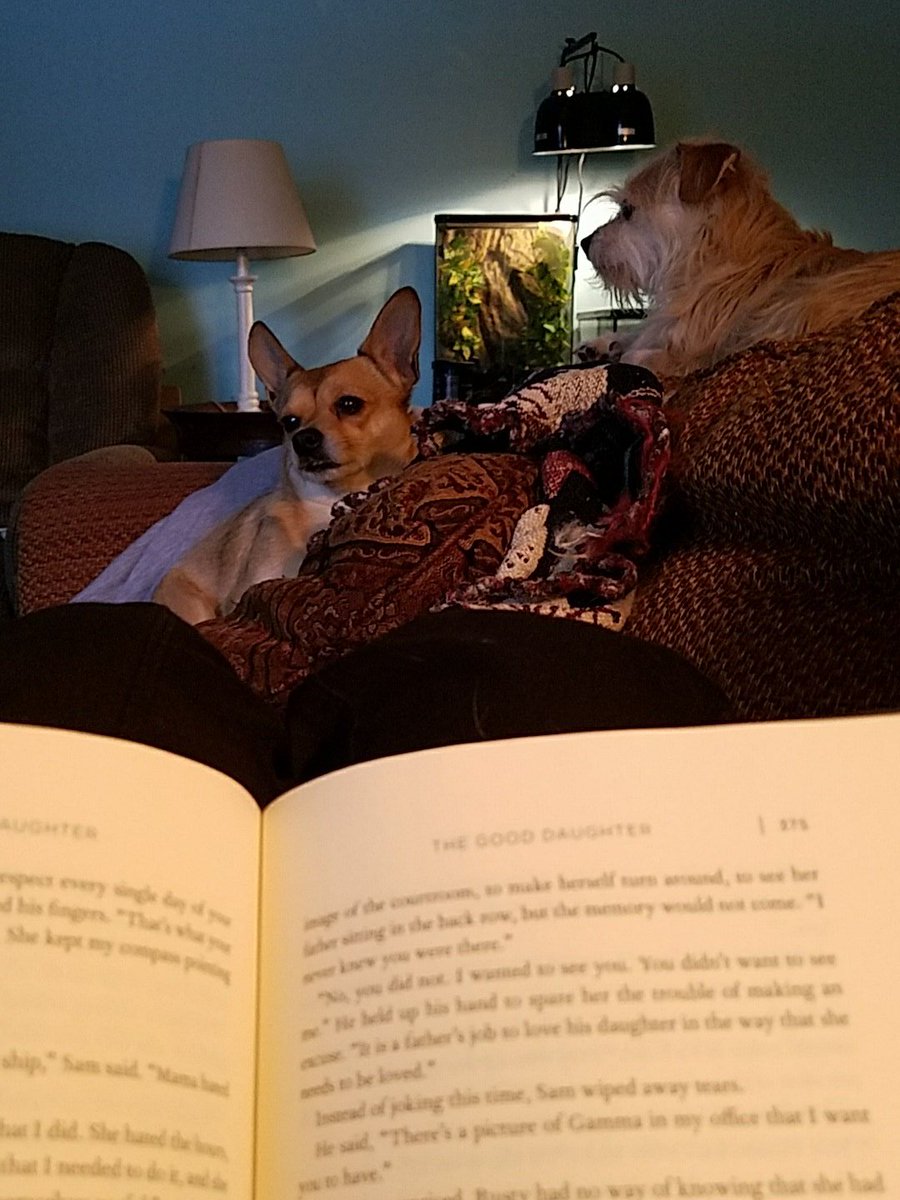 amanes313's tweet photo. My current situation... #readerforlife #readandrelax #caninecomfort https://t.co/e8deFvRz2R