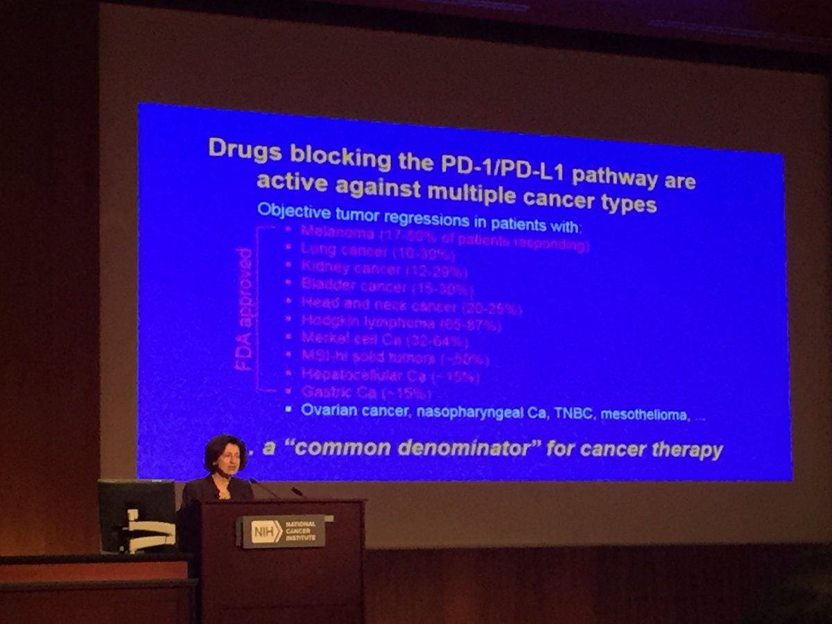 gulleyj1's tweet photo. My good friend Suzanne Topalian gets Rosalind E Franklin Award at the @NCIResearchCtr and DCEG PI retreat and gives #ExcellentTalk on #immunotherapy for #cancer. Amazing how immune checkpoint inhibitors have fundamentally changed cancer therapy! https://t.co/Loys1vMIrF