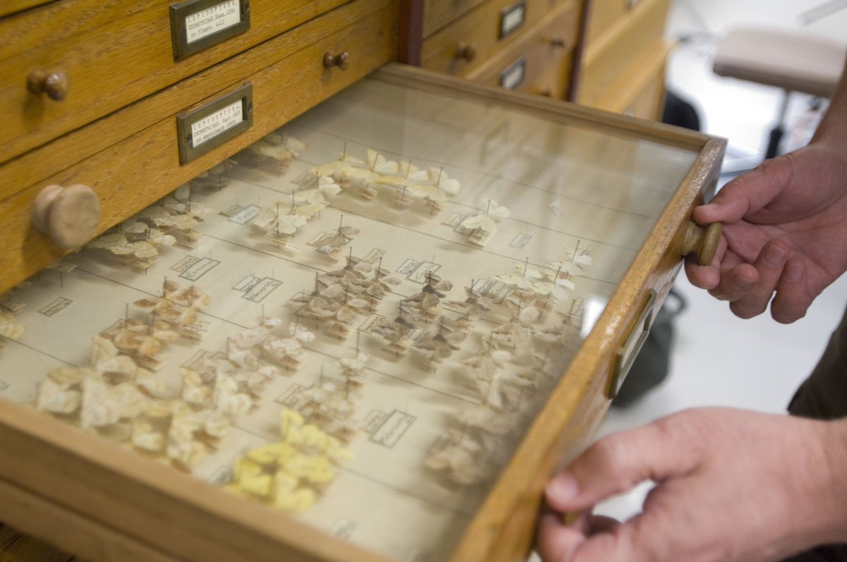 Interested in volunteering with a #UAlbertaMuseum collection? We have a few positions open! Find out more: goo.gl/qabXrj #UAlberta #yegvolunteers #yeg