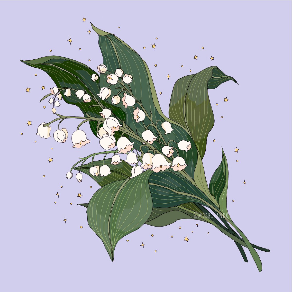 Liya Mochipanko The White Egret Bird The Orchid Has Its Name From