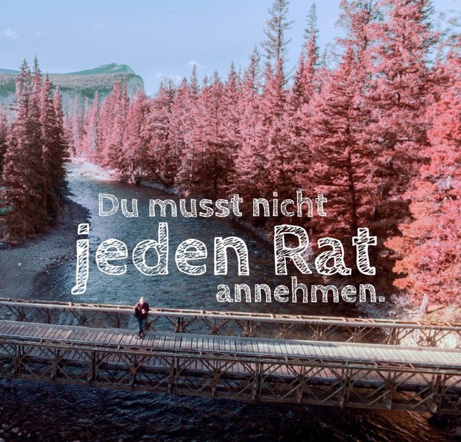 GruberJanne's tweet photo. Ratschläge können gut sein, müssen sie aber nicht. Frag dich doch auch mal selbst um Rat! https://t.co/9aXxZUDpDY
