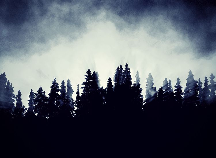 Campfire Stories: 13 Terrifying Accounts of Paranormal Encounters in the Wilderness ~ theoccultmuseum.com/campfire-stori…