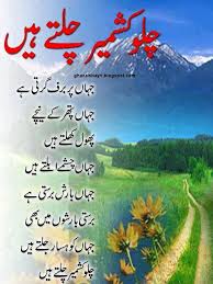 wani shafat (@wshafat121) on Twitter photo 