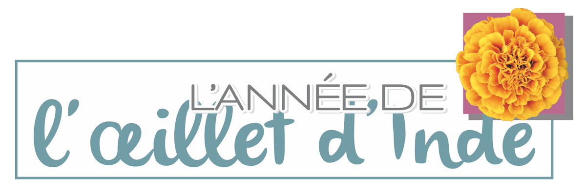 2018, année de l’oeillet d’Inde <a href="/Fleuroselect/">Fleuroselect</a> 
pariscotejardin.fr/2018/01/2018-a…