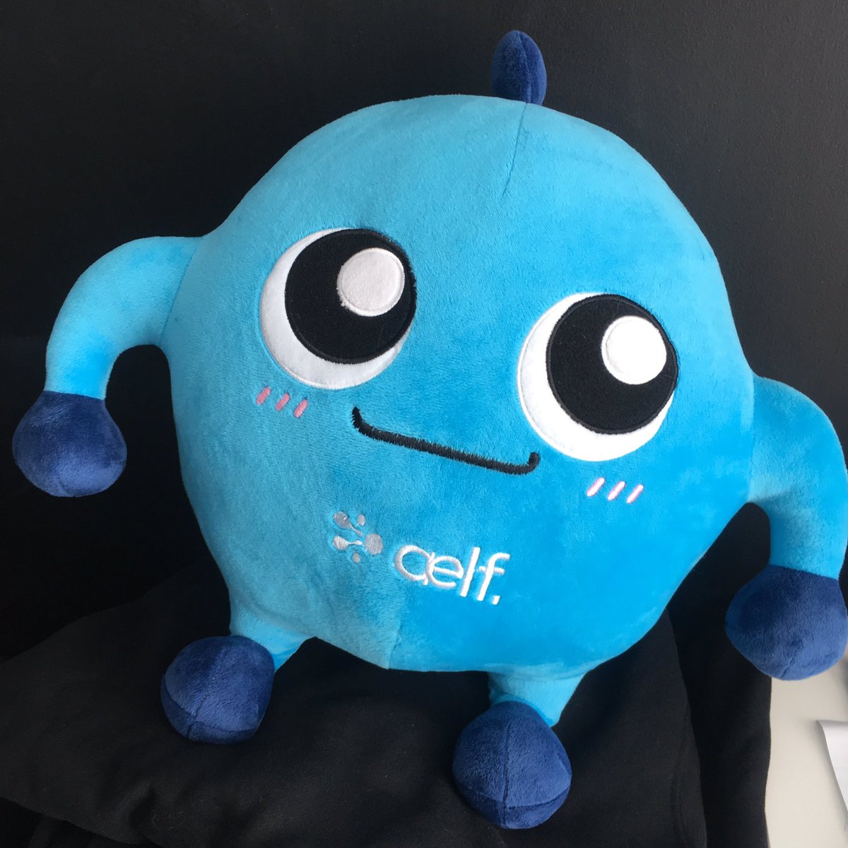 aelfblockchain's tweet image. A little elf in the house 😉😉