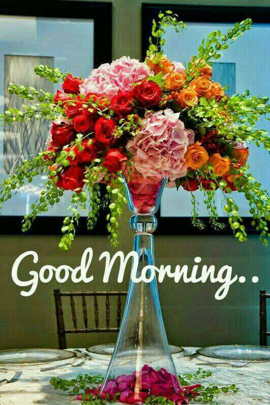 NonyNBansal's tweet photo. 💞☘💞☘🍁🎭🍁☘💞☘💞
#Morning_Twitte ....☕
_✏मन का झुकना बहुत जरूरी है,
केवल सर झुकाने से परमात्मा नही मिलते...
ताक़त अपने लफ्ज़ो में डालो,
आवाज में नही..
क्योंकि फसल बारिश से उगती है,
बाढ़ से नही..✍_
🙏₲๑๑d 💗ℳ๑®ทïทg🙏
😊Have A Nice Day😊
💞☘💞☘🍁🎭🍁☘💞☘💞 https://t.co/spMrhdxHz3