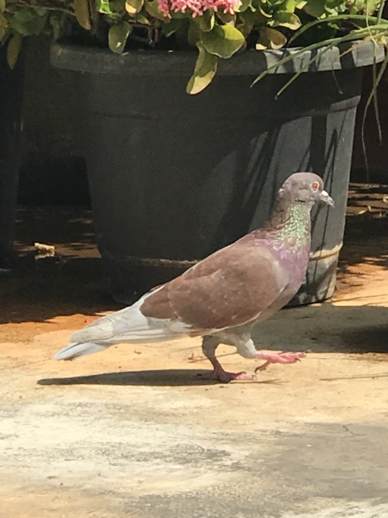 Beauty is Everywhere or Nowhere 🎻        #ArtOfLifving #MorningQuote #WisdomOfLife