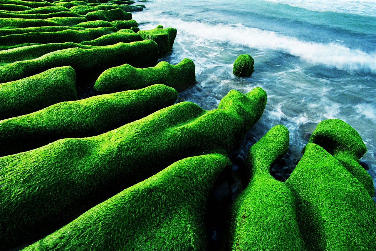 Bon Taiwan It Is A Beautiful Day Let S To The Beach And Enjoy The Unique View By North Coast Guanyinshan National Scenic Area Administration Tourism Bureau Laomei Green Reef