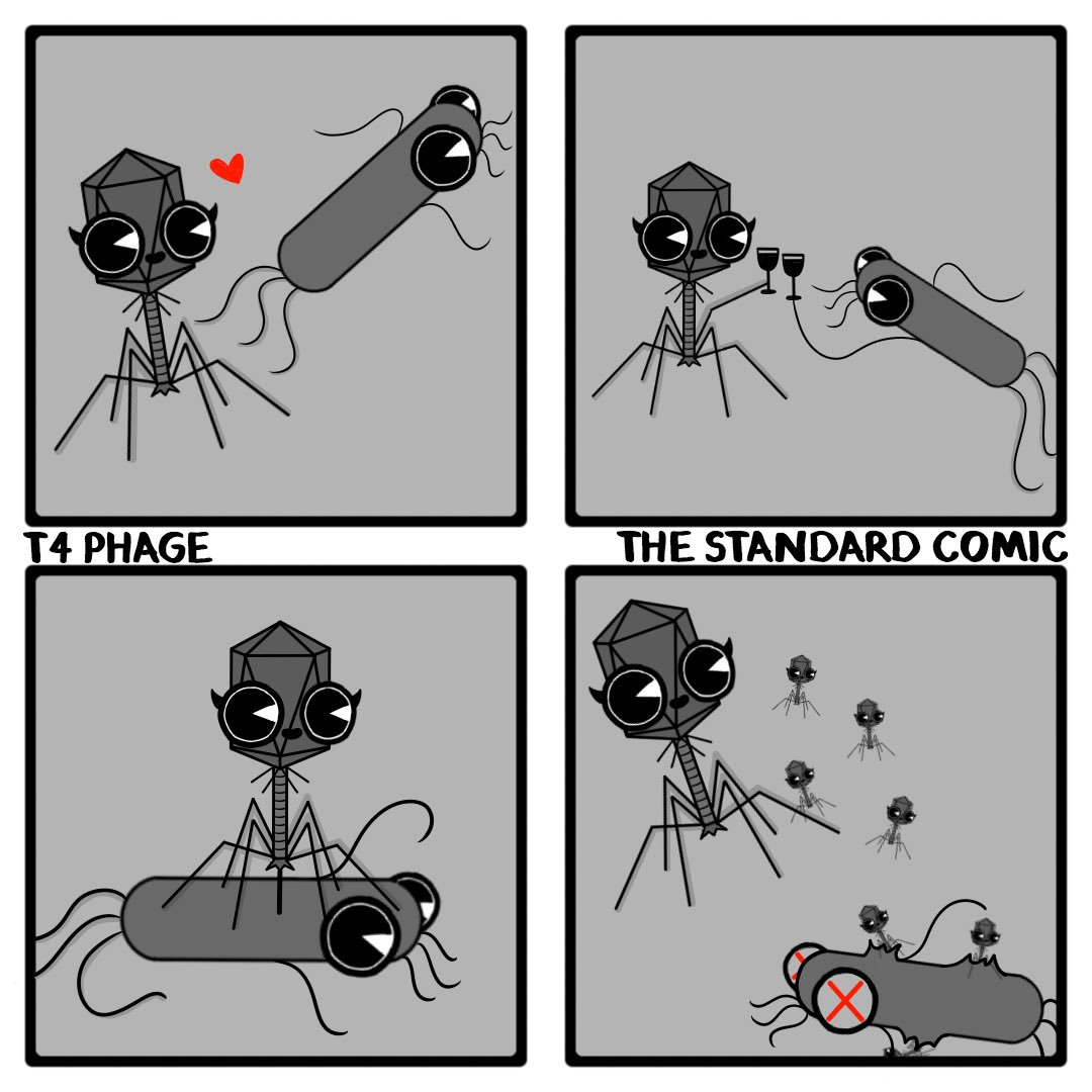 standardcomic's tweet photo. T4 Phage. #comic #comics #comicartist #webcomic #webcomics #webtoon #meme #funny #science https://t.co/SAr6W0MRh2