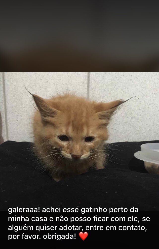 malgomsp's tweet image. 