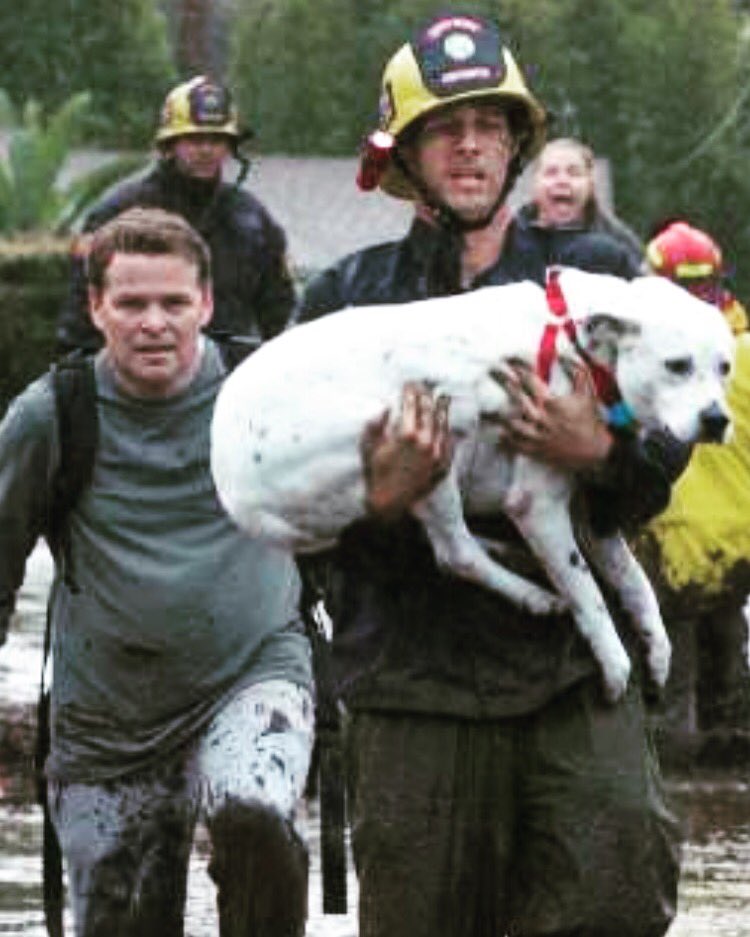 SantaMariaFire's tweet photo. Santa Maria Firefighters helping a family and their dog escape the devastation to higher ground early this morning #USAR2 #RTF12 #rescue #montecito #IAFF #CPF #santamariafirefighters #beonksby @chief_miller #keyt https://t.co/8IeXTY0gVH