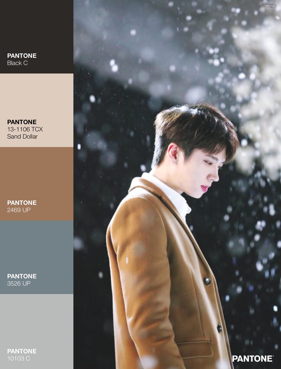 ifntpalettes's tweet photo. woohyun palette 🌨 https://t.co/g90tYoCzpk