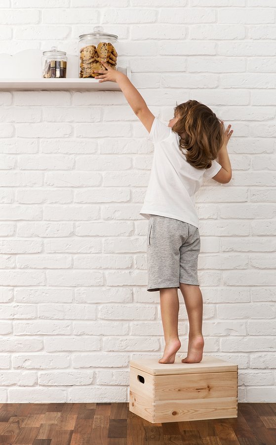 MaidBrigadeNETC tweet media