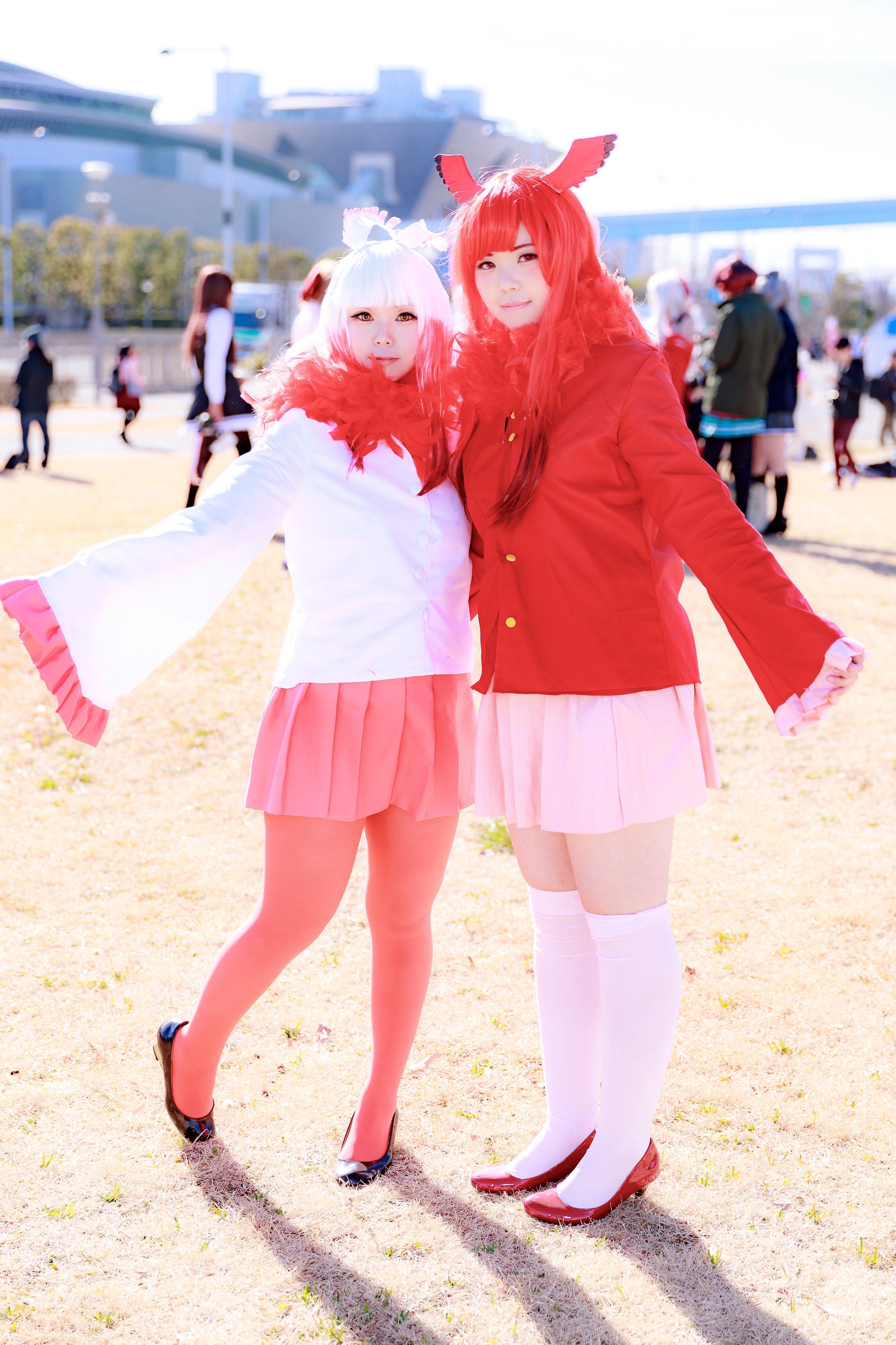 けものフレンズ　けもフレ　ショウジョウトキ　コスプレ　靴以外フルセット てっこりアゲ on X: 